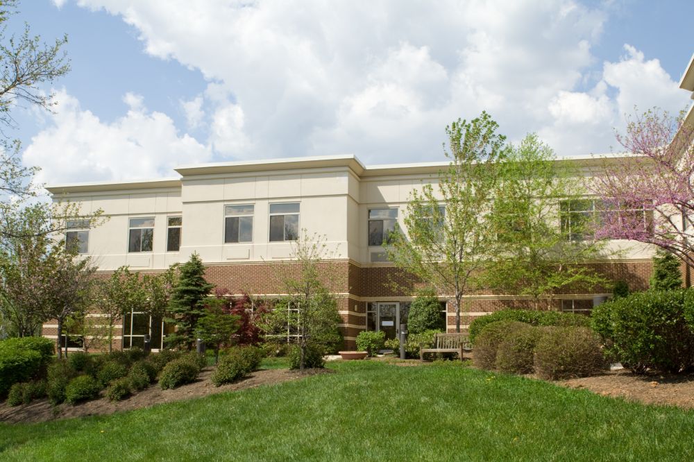 Commercial Shrub Maintenance