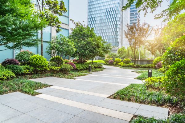 Commercial Landscaping Service