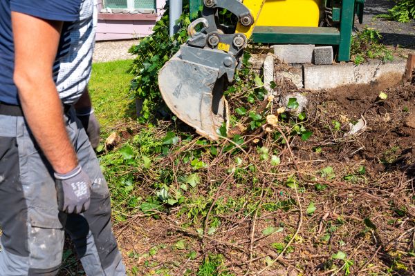 Hedge Removal Service in Johnson City