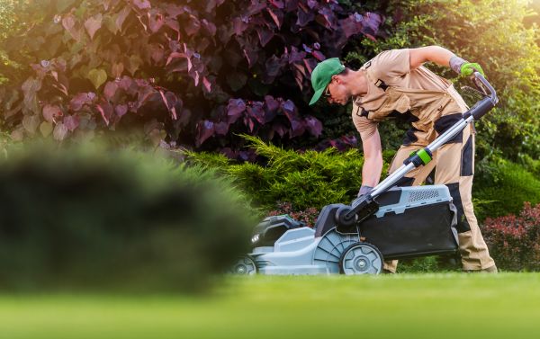 Yard Maintenance Service