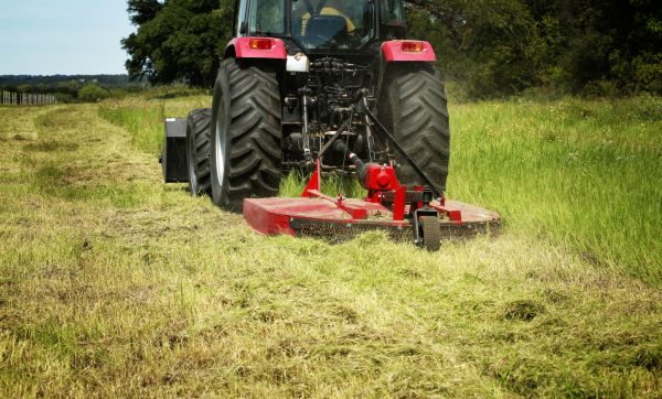 Vegetation Control