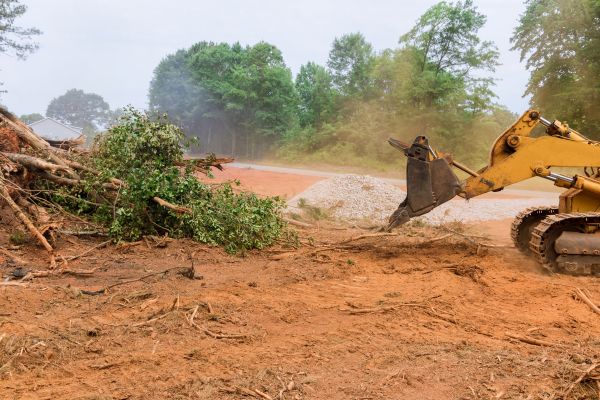 Landscape Clearing