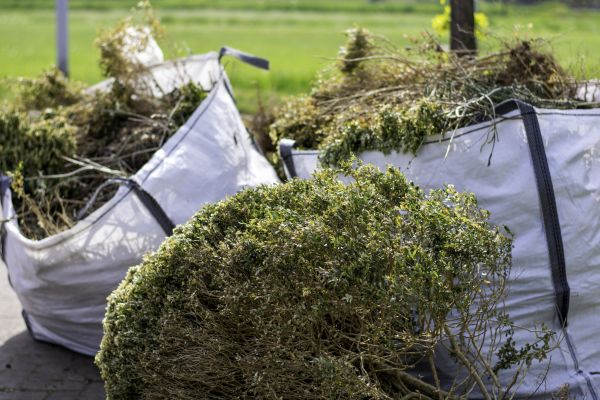 Bush Eradication