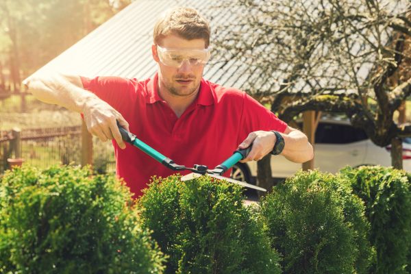 Greenery Pruning