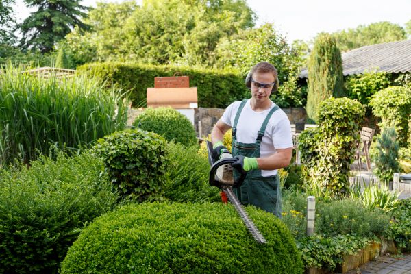 Greenery Grooming