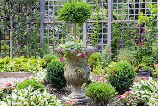 Topiary Pruning Service