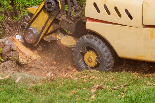 Root Grinding