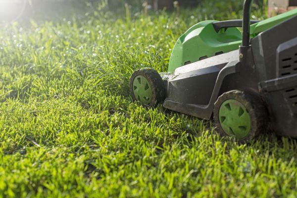 Yard Trimming