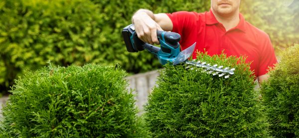 Hedge Shaping Service