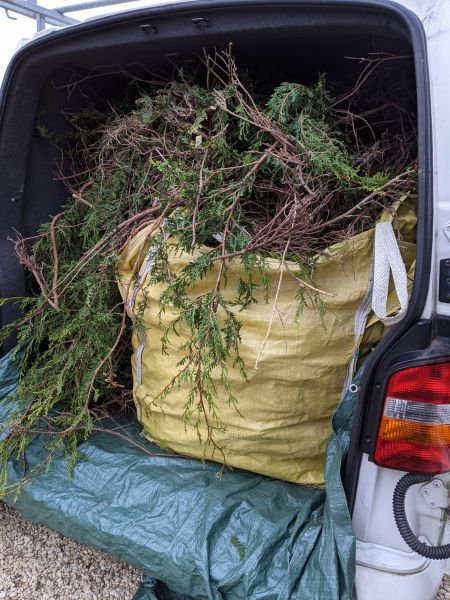 Bush Disposal