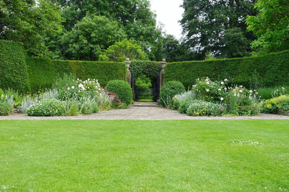 Hedge Sculpting